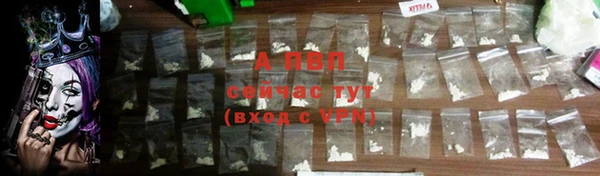 PSILOCYBIN Нязепетровск