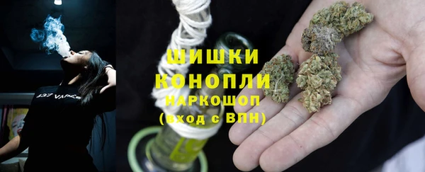 стаф Няндома