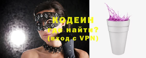 стаф Няндома