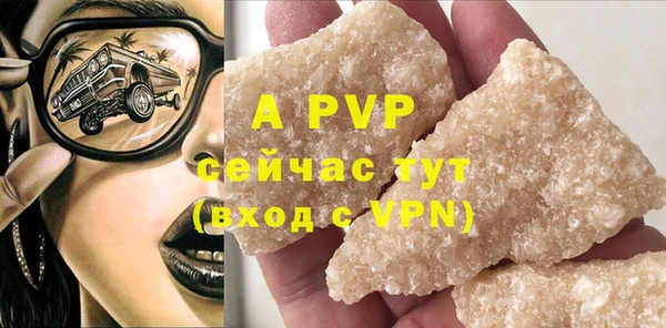 PSILOCYBIN Нязепетровск