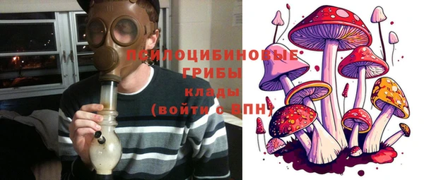 PSILOCYBIN Нязепетровск