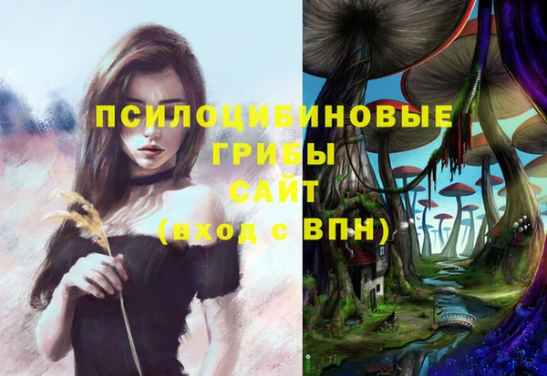 PSILOCYBIN Нязепетровск