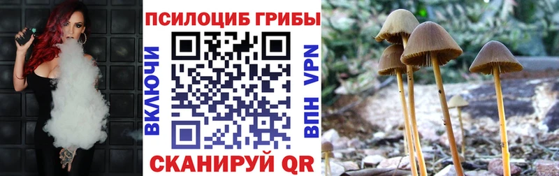 Псилоцибиновые грибы GOLDEN TEACHER Белоозёрский
